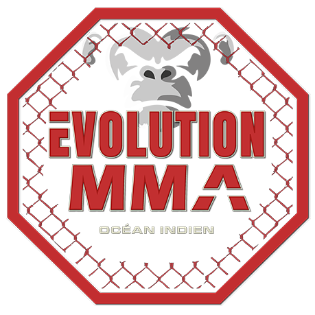 evolutionfreefight.com