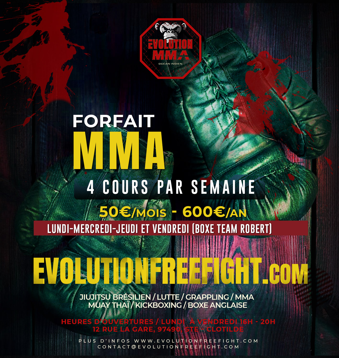 Full MMA (4 cours par semaine)