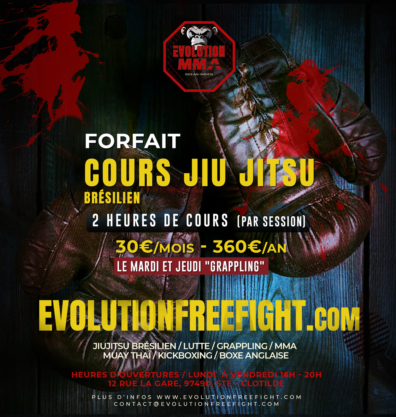 COURS JIU JITSU Brésilien