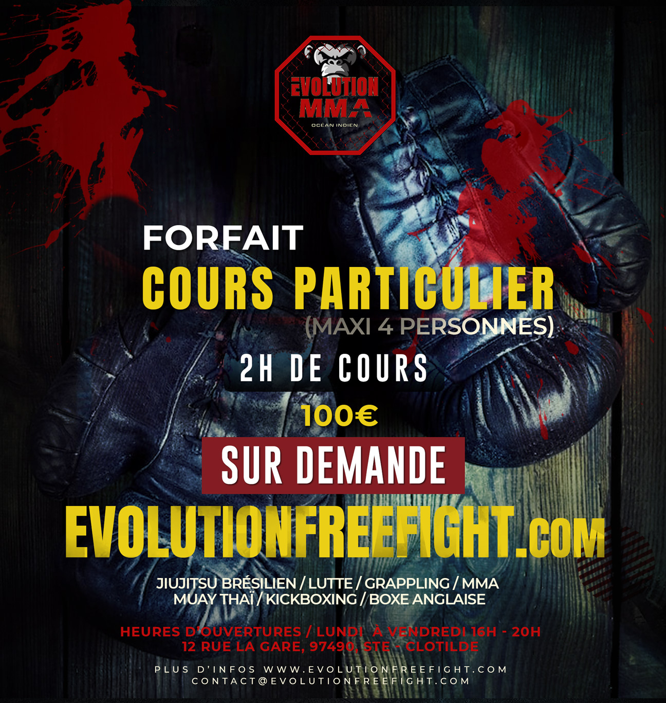 MMA (cours particulier 2H)