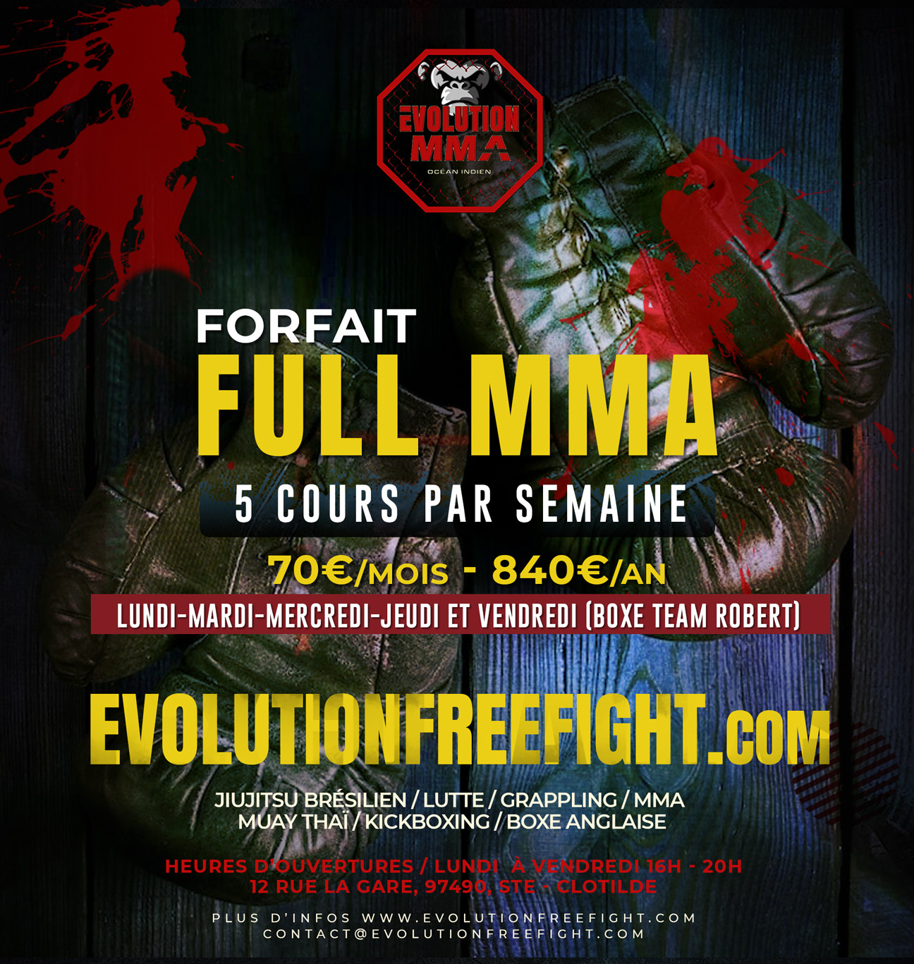 Full MMA (5 cours par semaine)