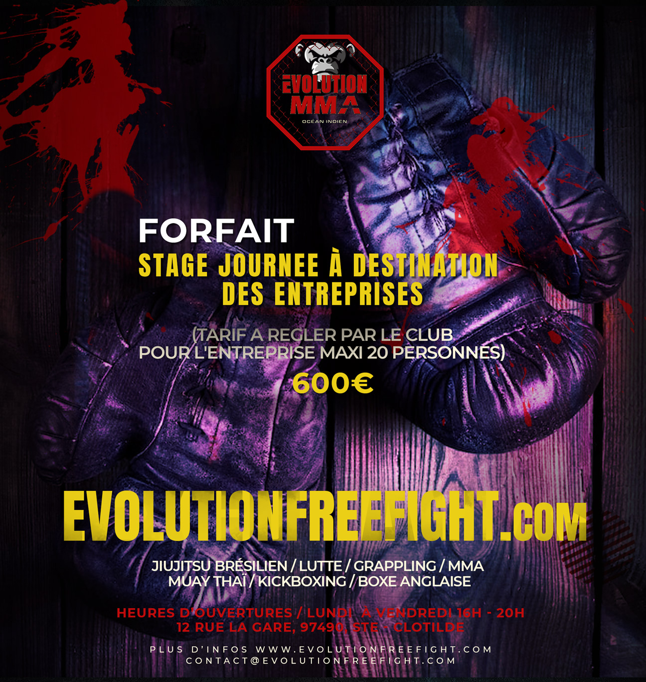 MMA stage entreprise